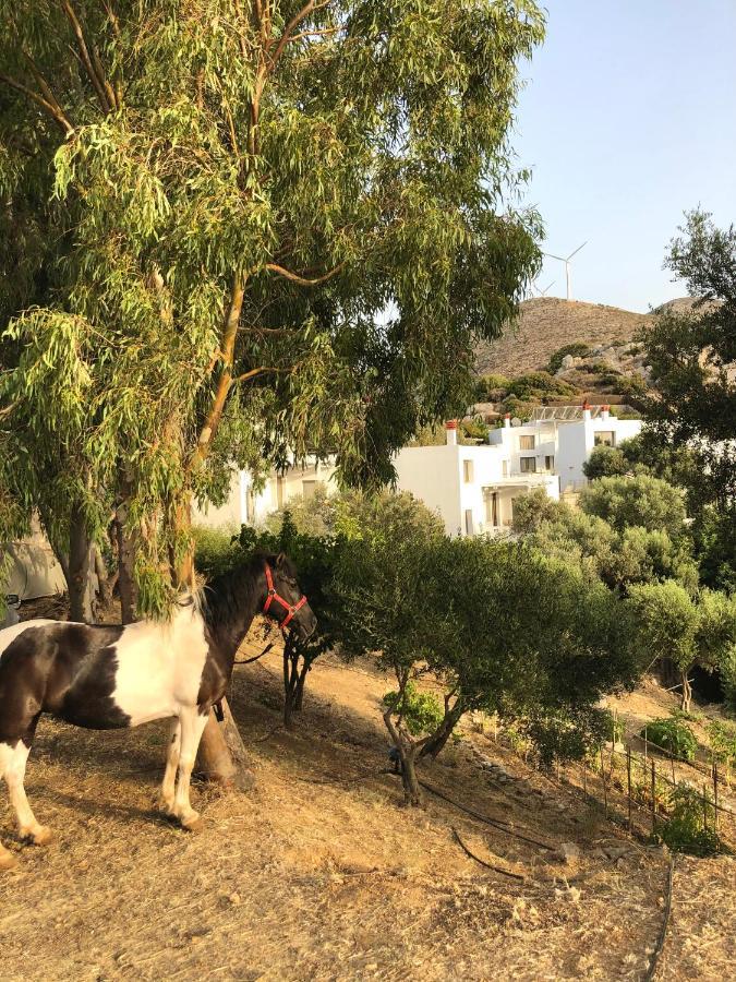 Mourtzanakis Residence - Traditional Eco Hotel In Achlada Exterior photo